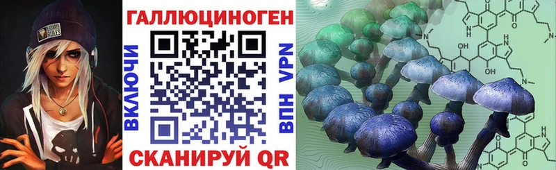 даркнет сайт Елабуга Псилоцибиновые грибы Psilocybe